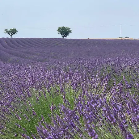 Apart-hotel Nuitee En Provence 2*